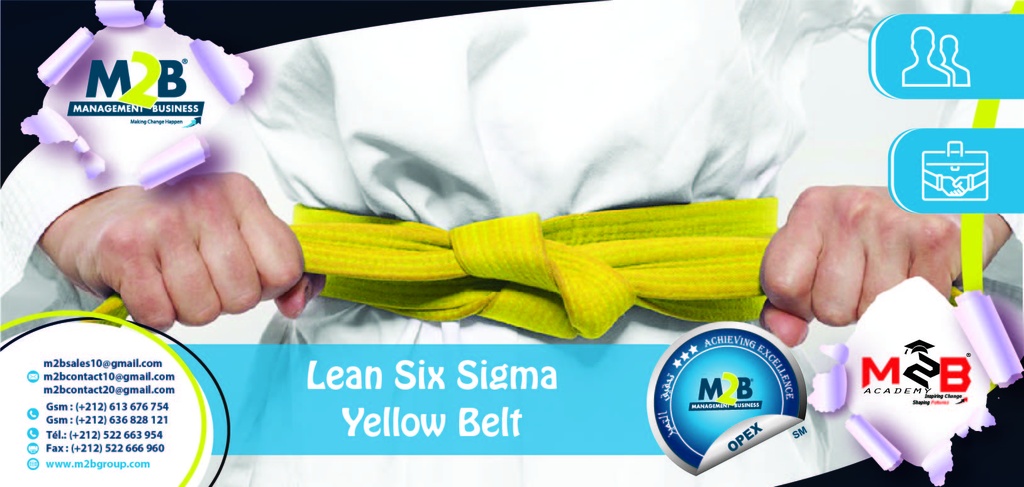 Lean Six Sigma Yellow Belt