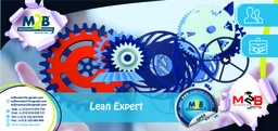 [SFO_B_OPEX_PG_LN_300] Lean Expert