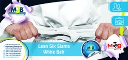 [SFO_C_OPEX_PG_LS_100] Lean Six Sigma White Belt